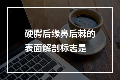 硬腭后缘鼻后棘的表面解剖标志是