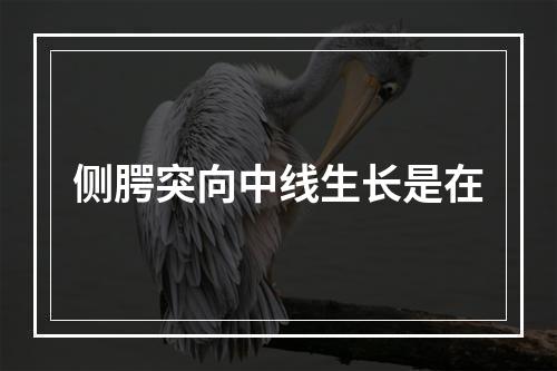 侧腭突向中线生长是在