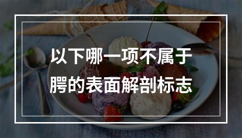 以下哪一项不属于腭的表面解剖标志