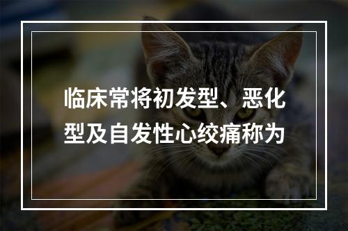 临床常将初发型、恶化型及自发性心绞痛称为