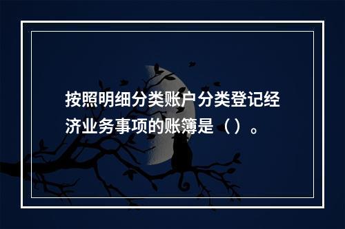 按照明细分类账户分类登记经济业务事项的账簿是（ ）。