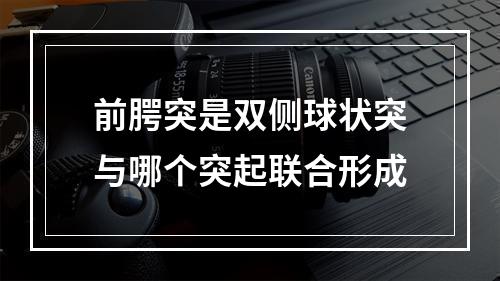 前腭突是双侧球状突与哪个突起联合形成