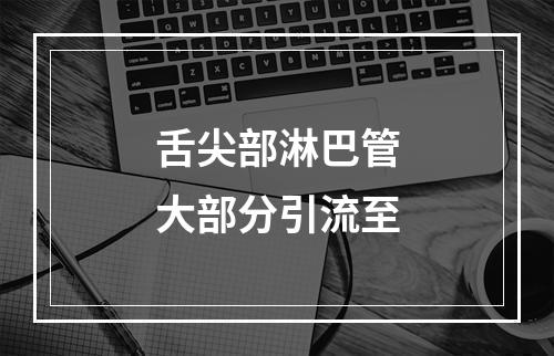 舌尖部淋巴管大部分引流至