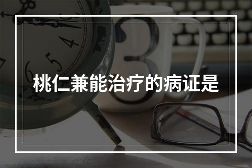 桃仁兼能治疗的病证是