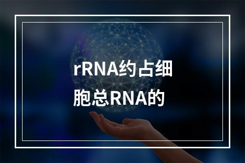 rRNA约占细胞总RNA的