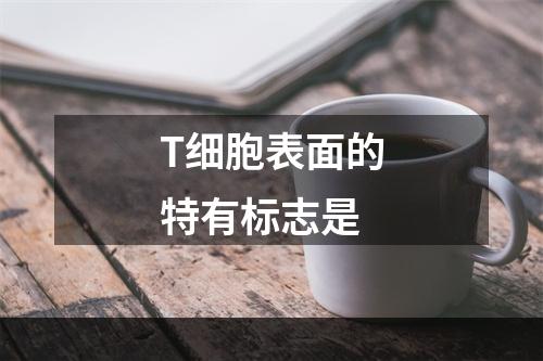 T细胞表面的特有标志是