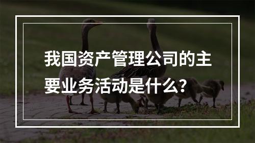 我国资产管理公司的主要业务活动是什么？