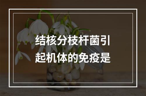 结核分枝杆菌引起机体的免疫是