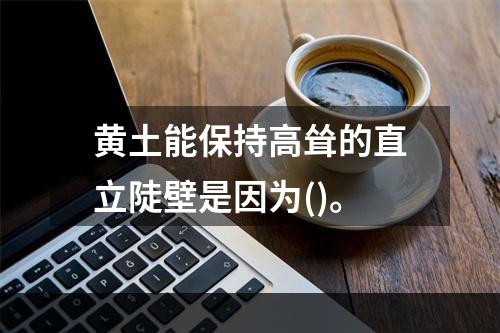 黄土能保持高耸的直立陡壁是因为()。