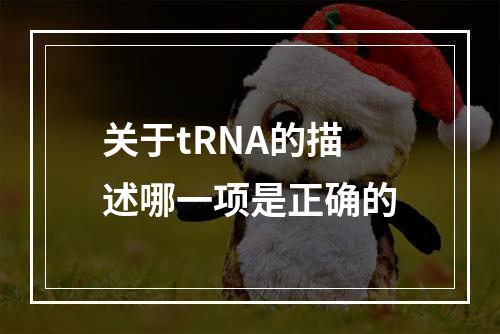 关于tRNA的描述哪一项是正确的