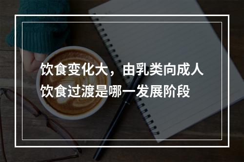 饮食变化大，由乳类向成人饮食过渡是哪一发展阶段