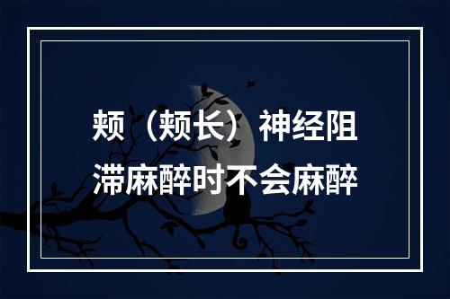 颊（颊长）神经阻滞麻醉时不会麻醉