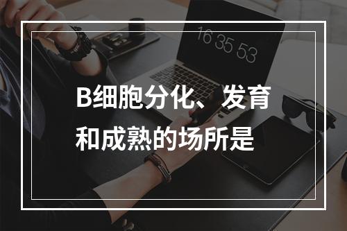 B细胞分化、发育和成熟的场所是