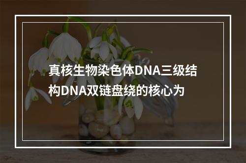 真核生物染色体DNA三级结构DNA双链盘绕的核心为