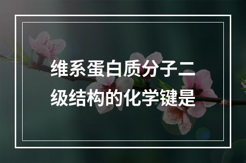 维系蛋白质分子二级结构的化学键是