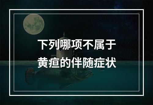 下列哪项不属于黄疸的伴随症状