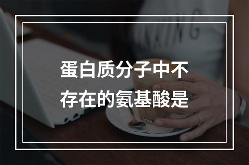 蛋白质分子中不存在的氨基酸是