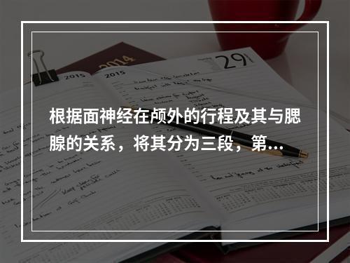 根据面神经在颅外的行程及其与腮腺的关系，将其分为三段，第二段