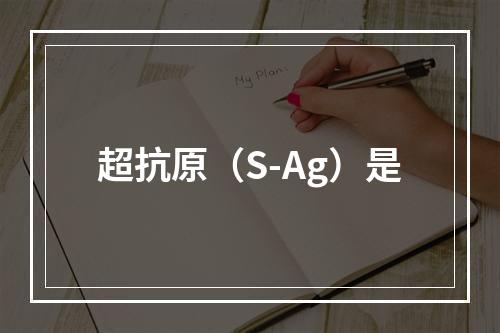 超抗原（S-Ag）是