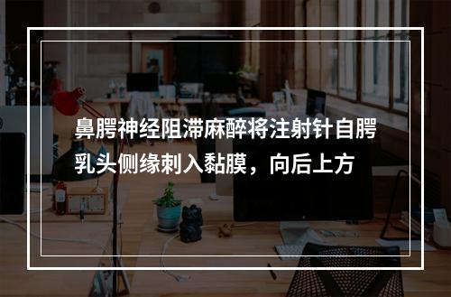 鼻腭神经阻滞麻醉将注射针自腭乳头侧缘刺入黏膜，向后上方