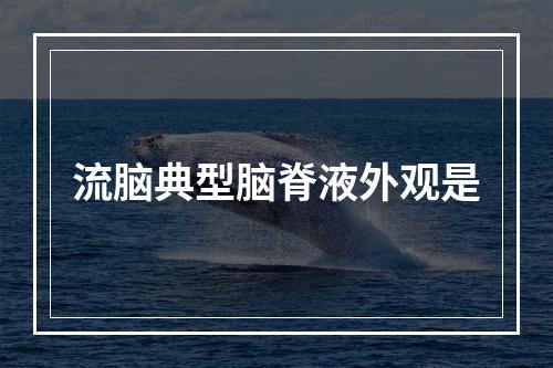 流脑典型脑脊液外观是