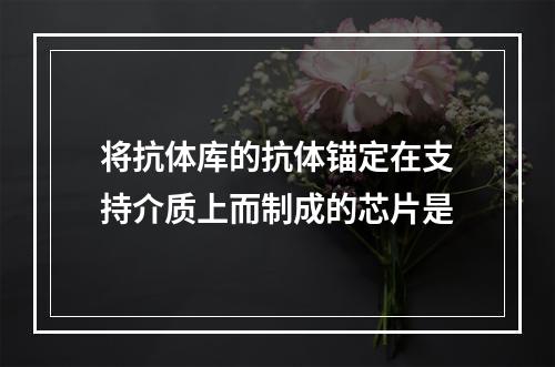 将抗体库的抗体锚定在支持介质上而制成的芯片是