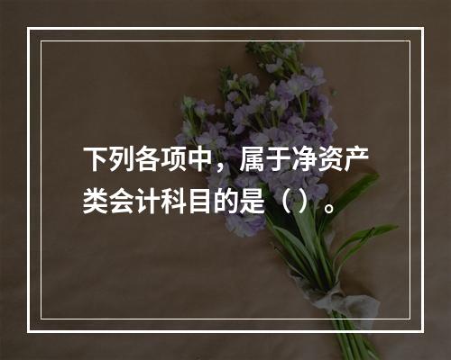 下列各项中，属于净资产类会计科目的是（ ）。