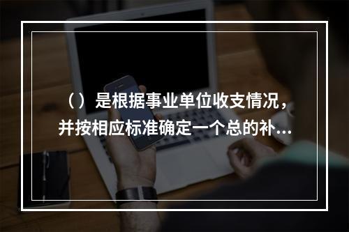 （ ）是根据事业单位收支情况，并按相应标准确定一个总的补助数