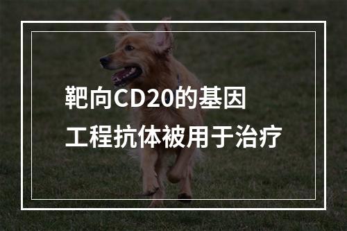 靶向CD20的基因工程抗体被用于治疗