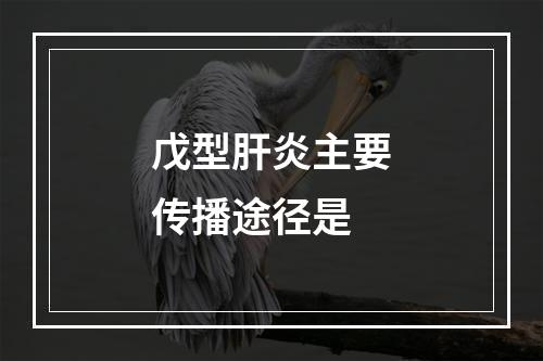 戊型肝炎主要传播途径是