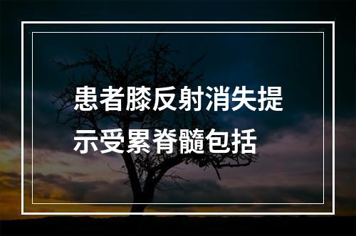 患者膝反射消失提示受累脊髓包括