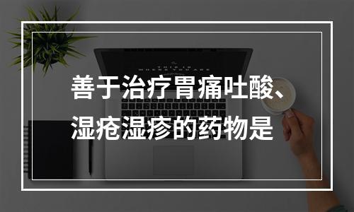 善于治疗胃痛吐酸、湿疮湿疹的药物是