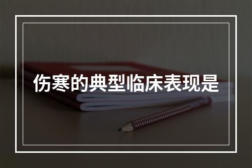 伤寒的典型临床表现是