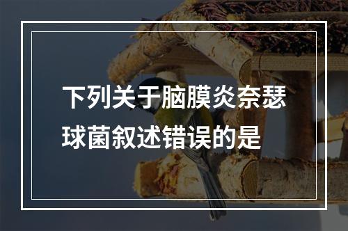 下列关于脑膜炎奈瑟球菌叙述错误的是