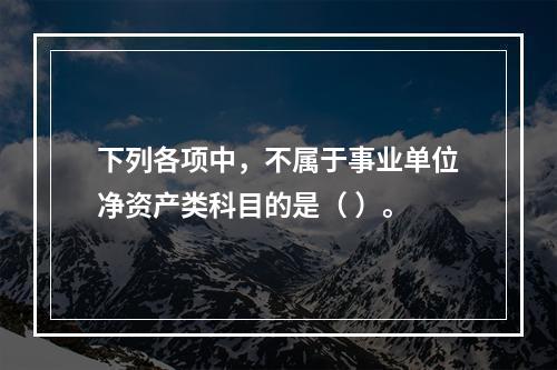 下列各项中，不属于事业单位净资产类科目的是（ ）。