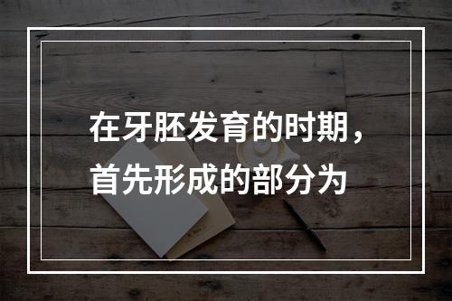 在牙胚发育的时期，首先形成的部分为