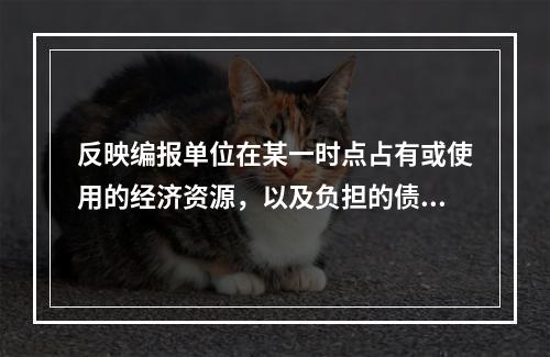 反映编报单位在某一时点占有或使用的经济资源，以及负担的债务和