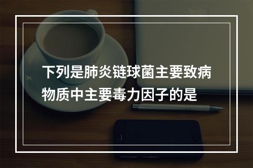 下列是肺炎链球菌主要致病物质中主要毒力因子的是