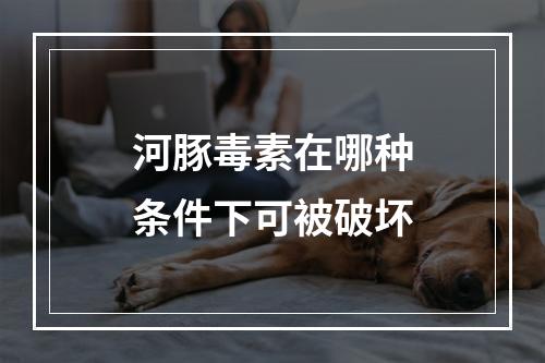 河豚毒素在哪种条件下可被破坏