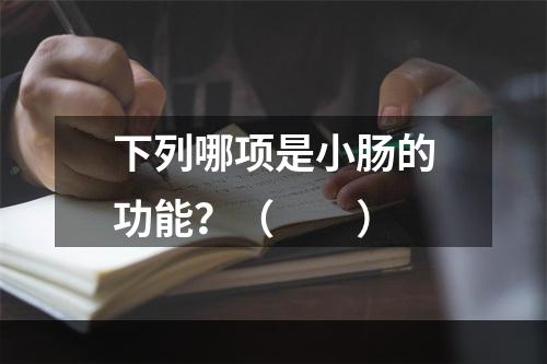 下列哪项是小肠的功能？（　　）