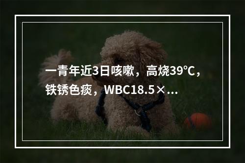 一青年近3日咳嗽，高烧39℃，铁锈色痰，WBC18.5×10