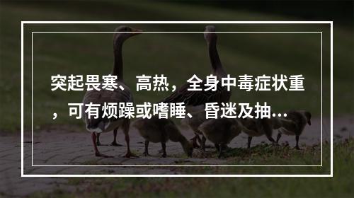 突起畏寒、高热，全身中毒症状重，可有烦躁或嗜睡、昏迷及抽搐等