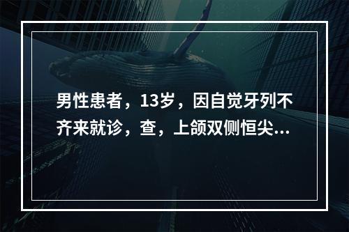 男性患者，13岁，因自觉牙列不齐来就诊，查，上颌双侧恒尖牙唇