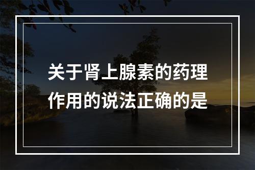 关于肾上腺素的药理作用的说法正确的是