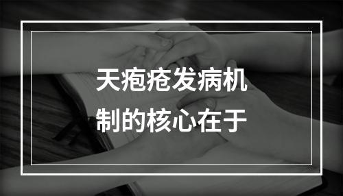 天疱疮发病机制的核心在于