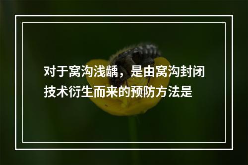 对于窝沟浅龋，是由窝沟封闭技术衍生而来的预防方法是