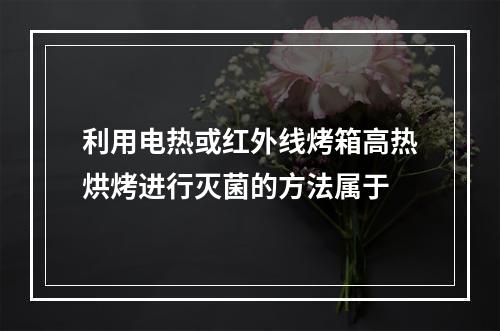 利用电热或红外线烤箱高热烘烤进行灭菌的方法属于