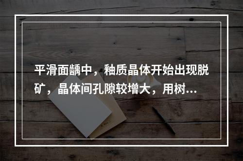 平滑面龋中，釉质晶体开始出现脱矿，晶体间孔隙较增大，用树胶可