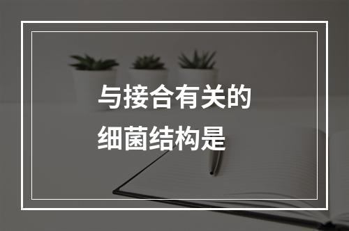 与接合有关的细菌结构是