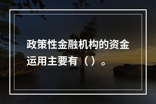 政策性金融机构的资金运用主要有（ ）。